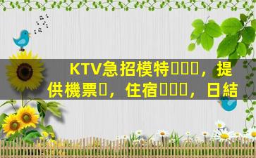 KTV急招模特，提供機票，住宿，日結